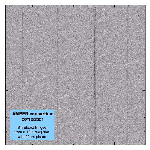 amber-simfringes-1