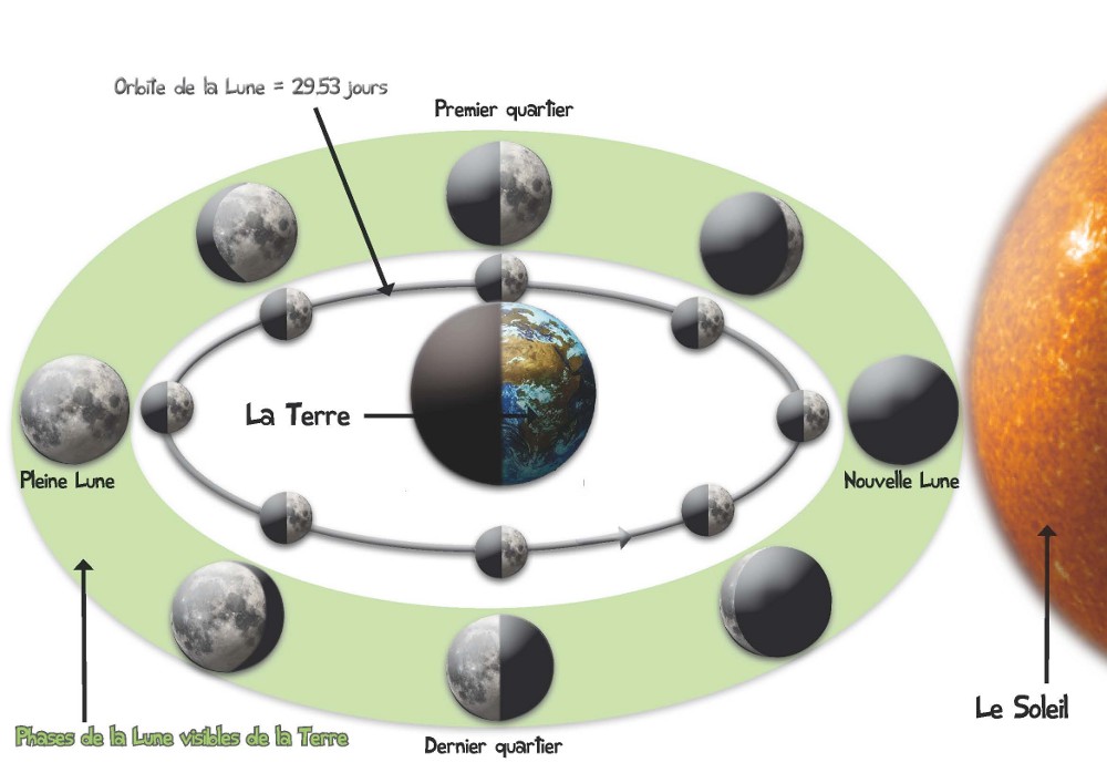 Schéma représentant les phases de la Lune dans la partie « La Lune va-t-elle nous tomber sur la tête ? ». © C. Durst Schéma représentant les phases de la Lune dans la partie « La Lune va-t-elle nous tomber sur la tête ? ». © C. Durst