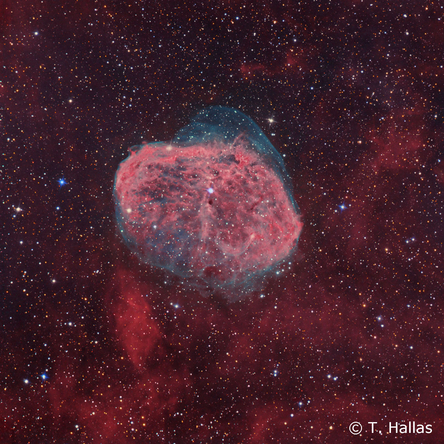 Nébuleuse NGC6888 © T. Hallas