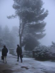 IMG_0257.JPG