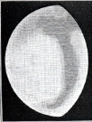 Structure Y2